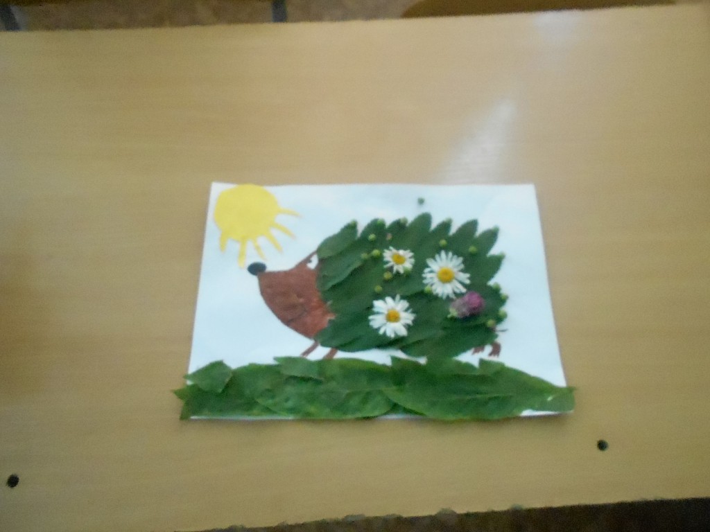 DSCN2173
