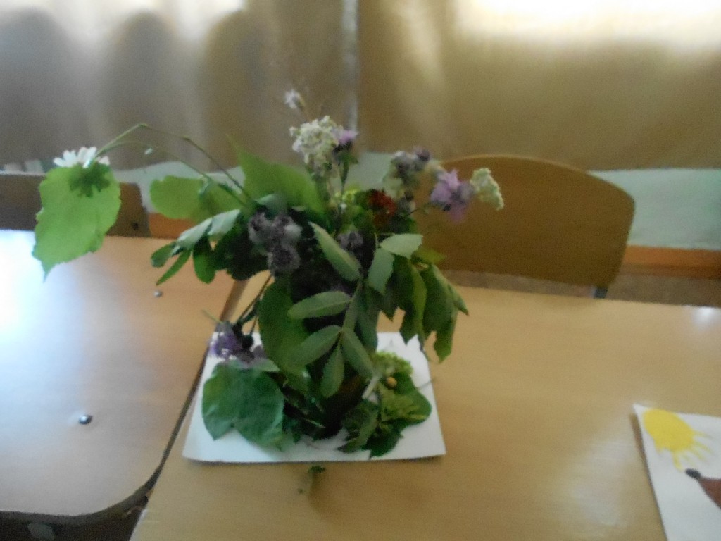 DSCN2174