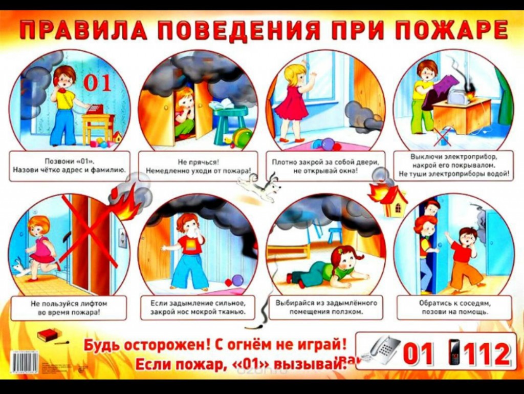 IMG-12c407031e93f9ac7b37401be99d3e6c-V